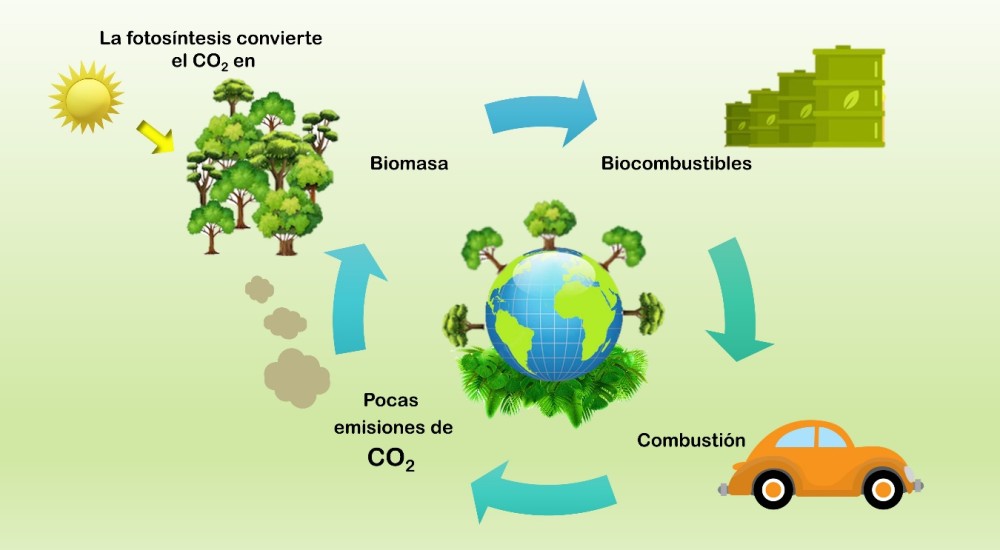 Biodiésel: una alternativa cada vez más real para sustituir combustibles fósiles