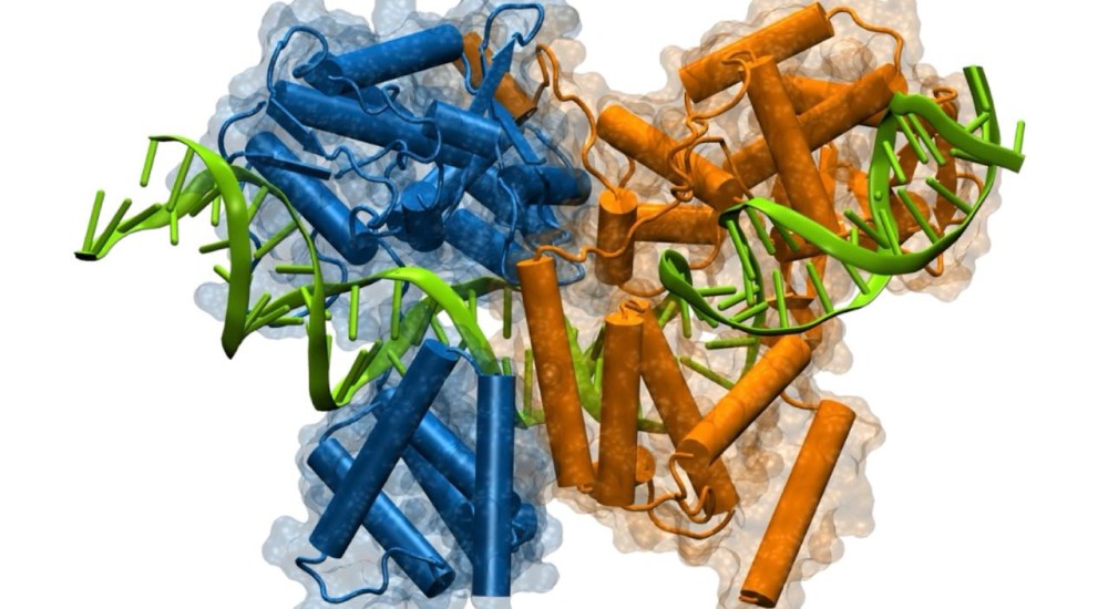 El trabajo más bonito del mundo