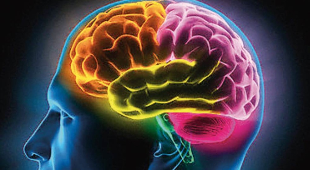 Los efectos del ejercicio en nuestro cerebro