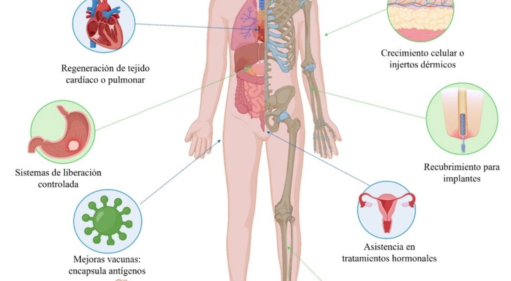 El futuro de la salud: nanofibras que transforman el tratamiento de enfermedades