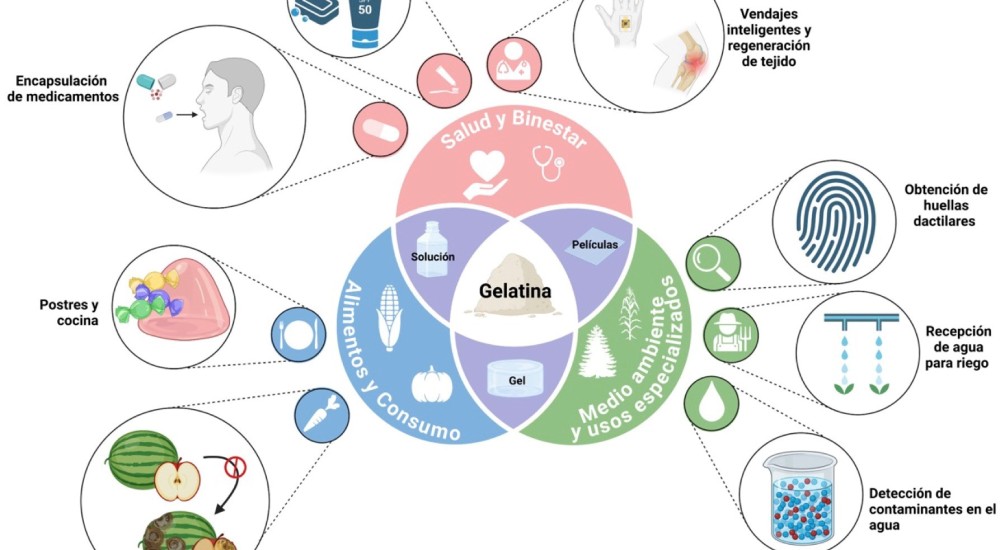 La ciencia detrás de la gelatina: del plato al laboratorio