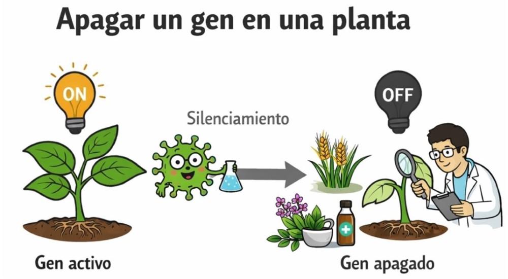 Cuando los virus son aliados: explorando los secretos de las plantas