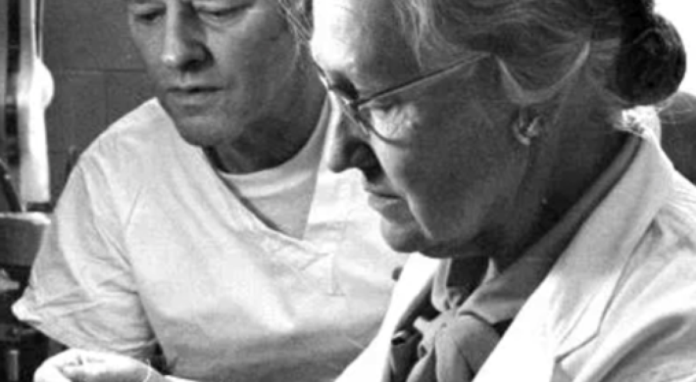 Tosferina: no sólo es un asunto de niños