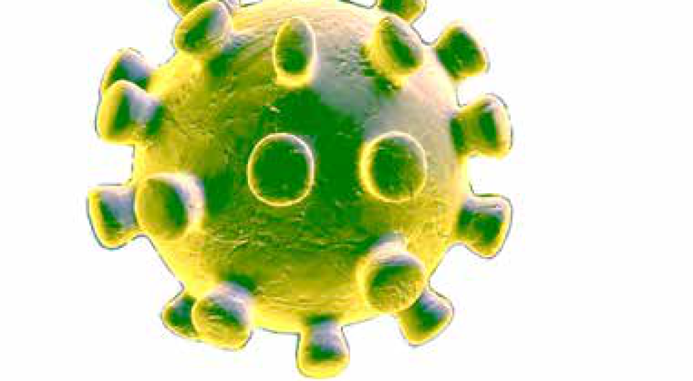 ¡Un nuevo Coronavirus!: ¿Qué es eso? ¿Nos tenemos que preocupar?