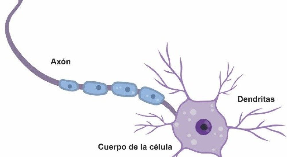 Premio Nobel de física 2024. Una alianza con la computación