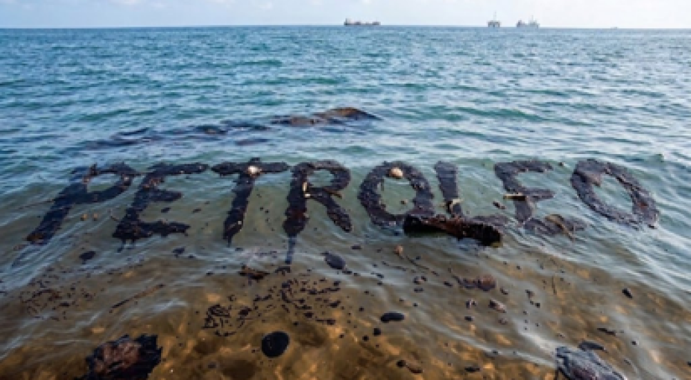 Gotas negras sobre el mar: bacterias al rescate del Golfo
