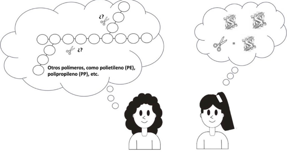 Las enzimas, una herramienta para resolver la contaminación por plásticos