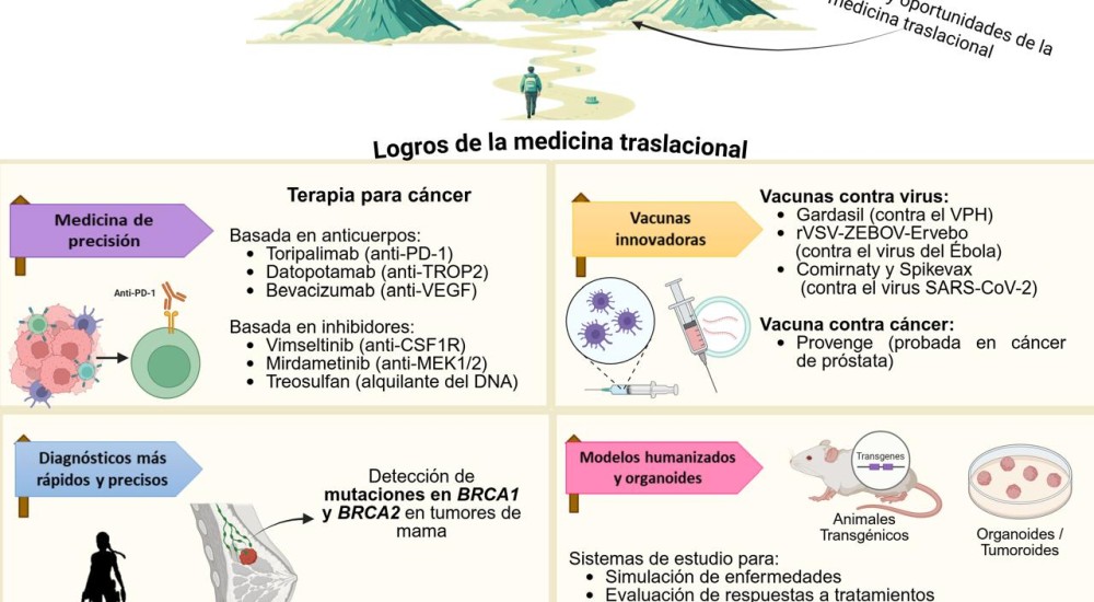 De la investigación básica a la práctica clínica: la medicina traslacional y la oncología de precisión