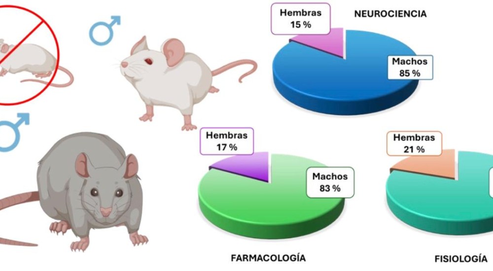 ¿Medicina para todos? El riesgo de vivir en un cuerpo femenino que la ciencia no estudió