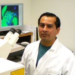 Dr. Salvador