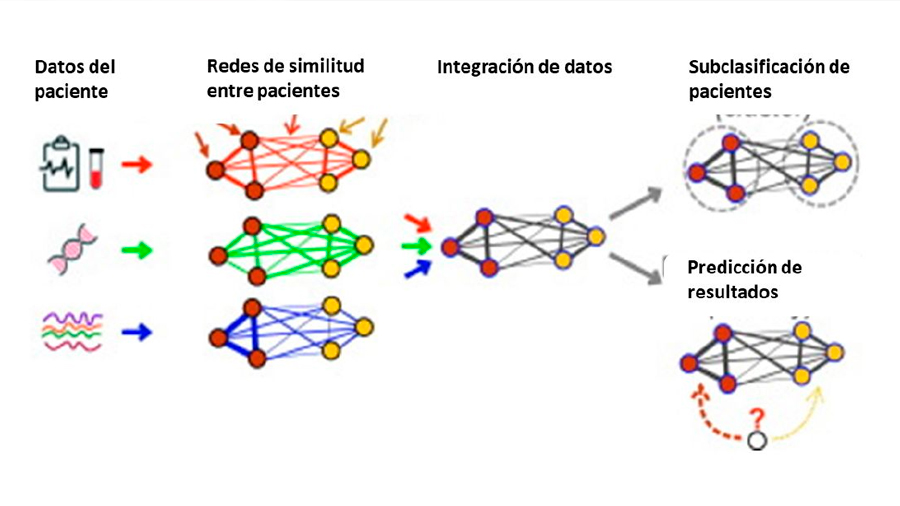 Figura 3. Ilustración de la aplicación de redes a la medicina. Figura modificada de https://www.sciencedirect.com/science/article/pii/S0022283618305321