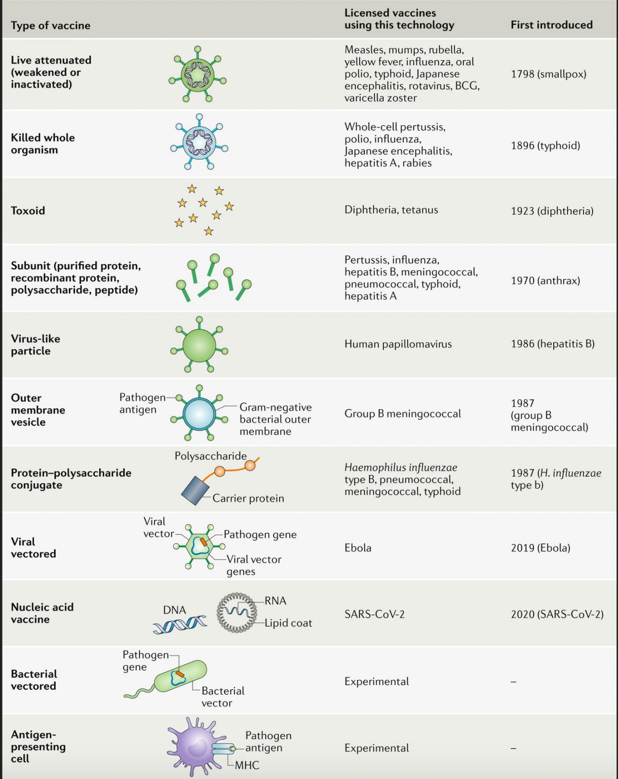 Figura 1: Guía esquemática de diferentes tipos de vacunas contra patógenos con su año de introducción. Tomada de: Nature Reviews Immunology, Deciembre 2020.