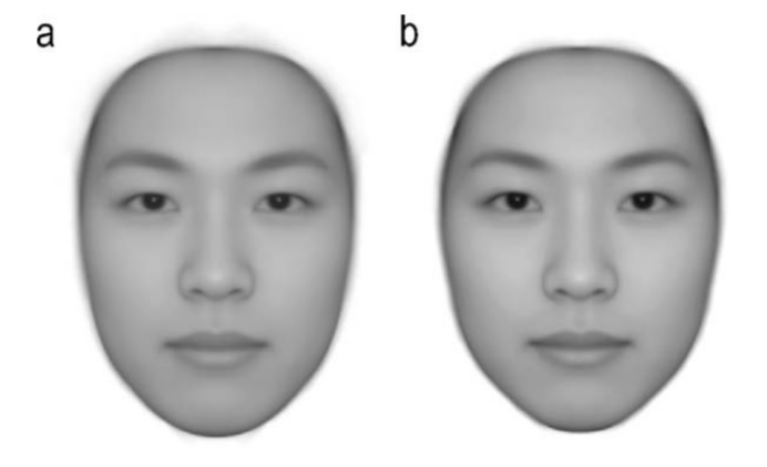 Figura 4. Rostros promedios de a) hombres y b) mujeres generados a partir de 48 fotos para cada género. Modificada de Komori, M., Kawamura, S., & Ishihara, S. (2009). doi:10.1016/j.actpsy.2009.03.008.