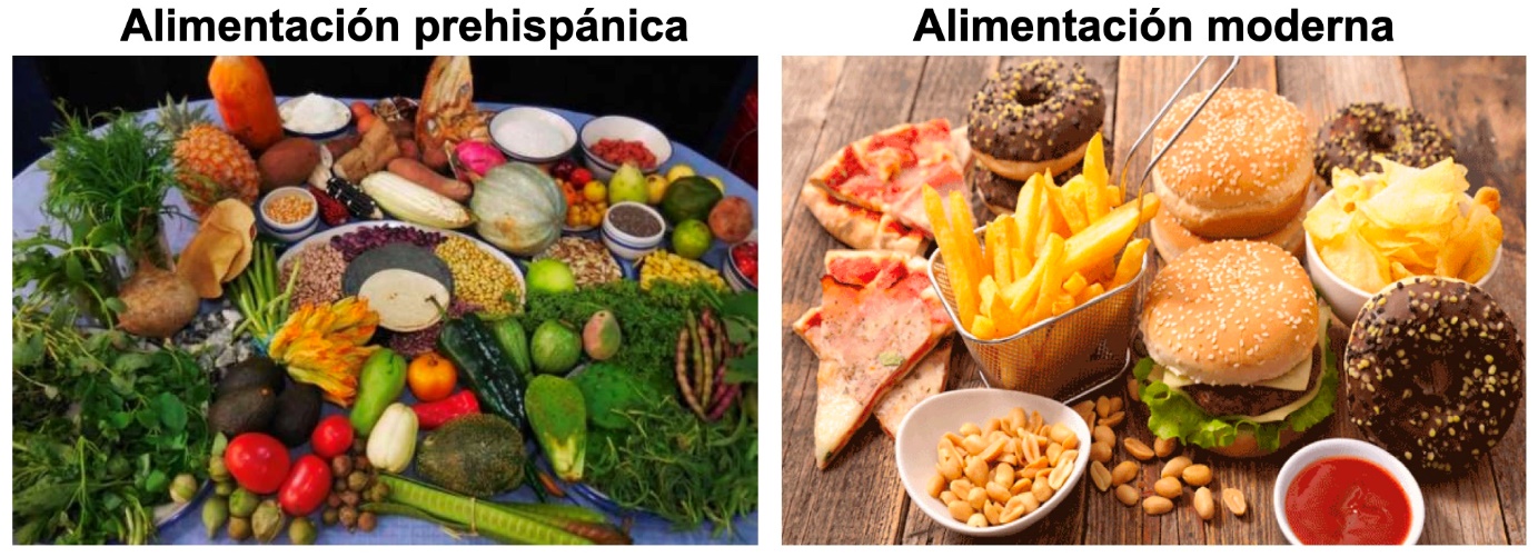 Figura 2. Alimentación prehispánica vs. alimentación moderna.  Tomadas de: http://spanish.china.org.cn/txt/2019-10/30/content_75356692.htm y https://computerhoy.com/noticias/life/esto-es-que-pasa-tu-cuerpo-cuando-comes-comida-rapida-78467