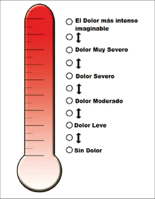 Figura 3. Representación de la escala visual para medición del dolor y el termómetro de Iowa.