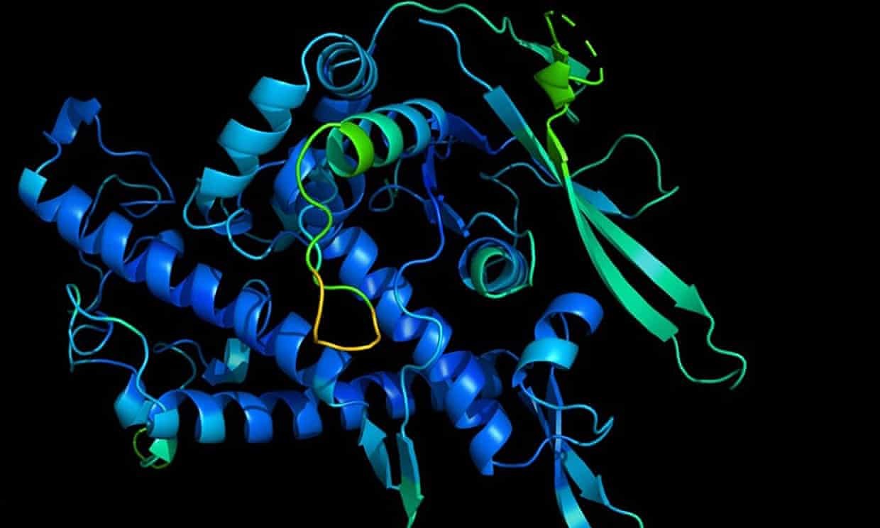 Imagen de un modelo de la estructura tridimensional de una proteína. Tomada de: https://www.theguardian.com/science/2020/dec/20/the-virus-free-scientific-breakthroughs-of-2020-chosen-by-scientists