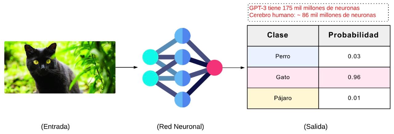 Figura 1. Funcionamiento básico de un Modelo Grande de Lenguaje (LLM). A partir de una frase incompleta (“El corazón humano es un órgano que …”), el modelo calcula la probabilidad de varias continuaciones. La barra azul representa la opción más probable (“bombea sangre”), seguida de otras alternativas (“late”, “regula”, etc.). La salida no es una idea “comprendida”, sino una distribución de probabilidades sobre palabras que podrían completar el enunciado.