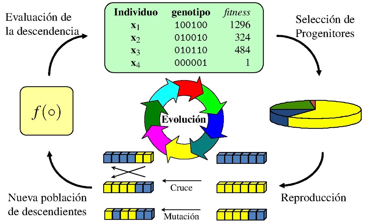 Figura 3. Esquema del funcionamiento de un algoritmo genético (AG). Cada individuo se representa mediante un genotipo (cadena de bits) y se evalúa según una función de aptitud (fitness). Los más aptos se seleccionan como progenitores, se combinan por cruce, y algunos “genes” sufren mutaciones aleatorias. Con ello se forma una nueva población de descendientes, que vuelve a evaluarse. Este ciclo iterativo de selección, reproducción, cruce y mutación permite que la población “evolucione” hacia soluciones cada vez mejores (Imagen tomada de la ref. [9]).